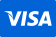 Visa pay logo